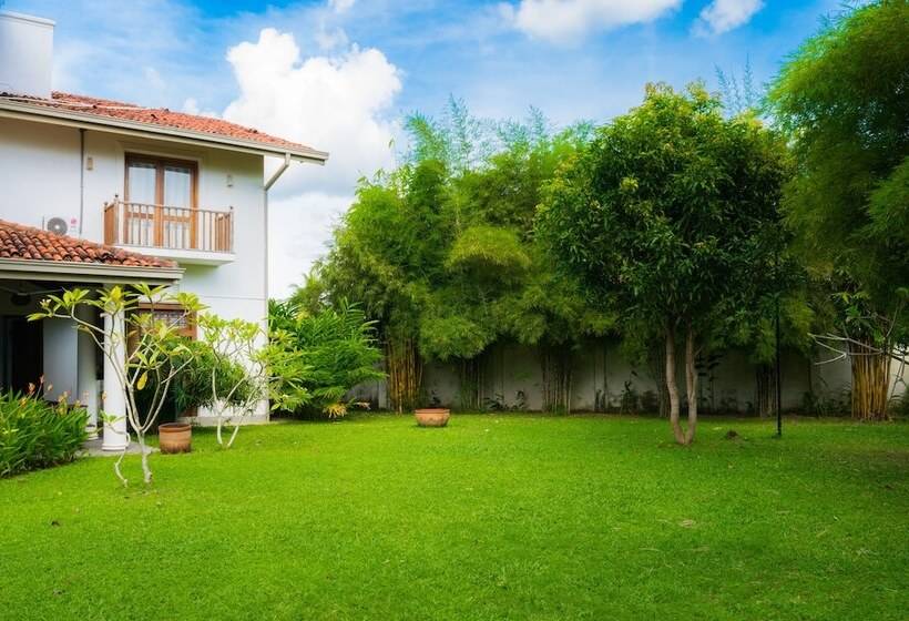 Fotos del hotel Villa White Queen:  24