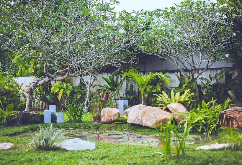 Fotos del hotel Villa White Queen:  23