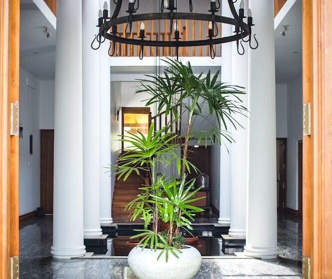 Fotos del hotel Villa White Queen:  12