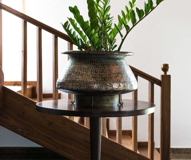 Fotos del hotel Villa White Queen:  15