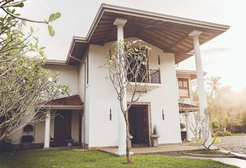 Fotos del hotel Villa White Queen:  16