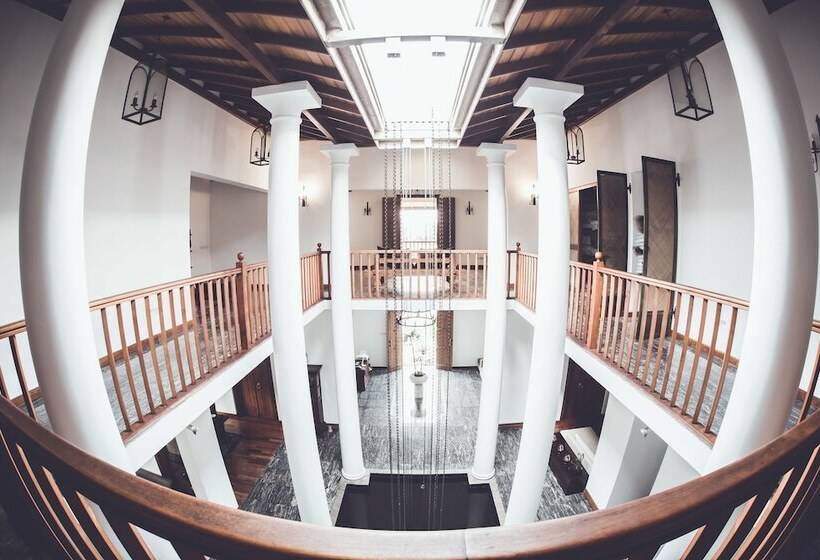 Fotos del hotel Villa White Queen:  3