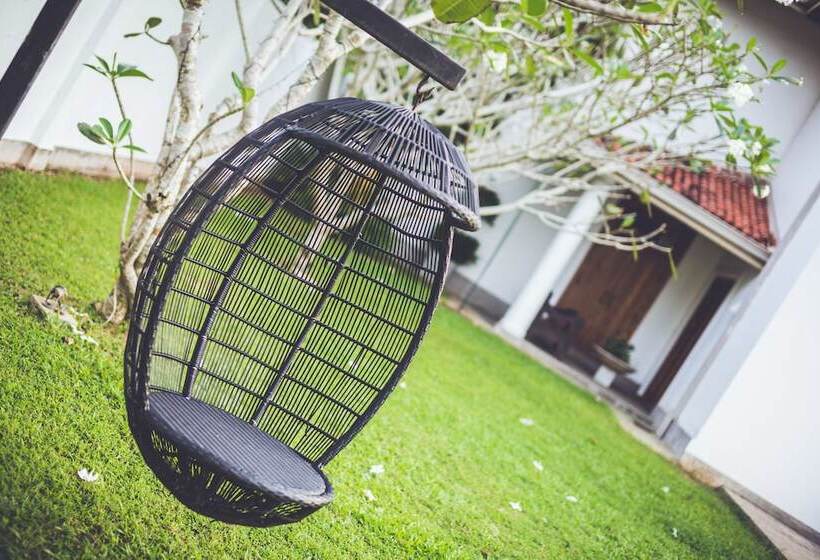 Fotos del hotel Villa White Queen:  21