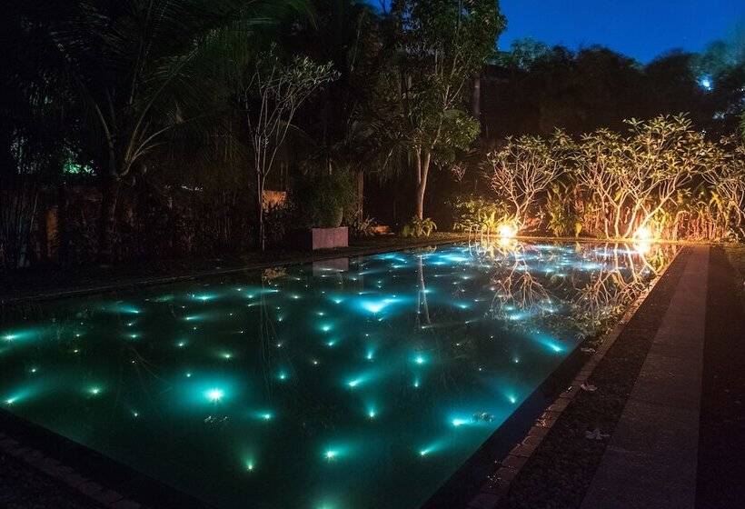 Fotos del hotel Villa White Queen:  2