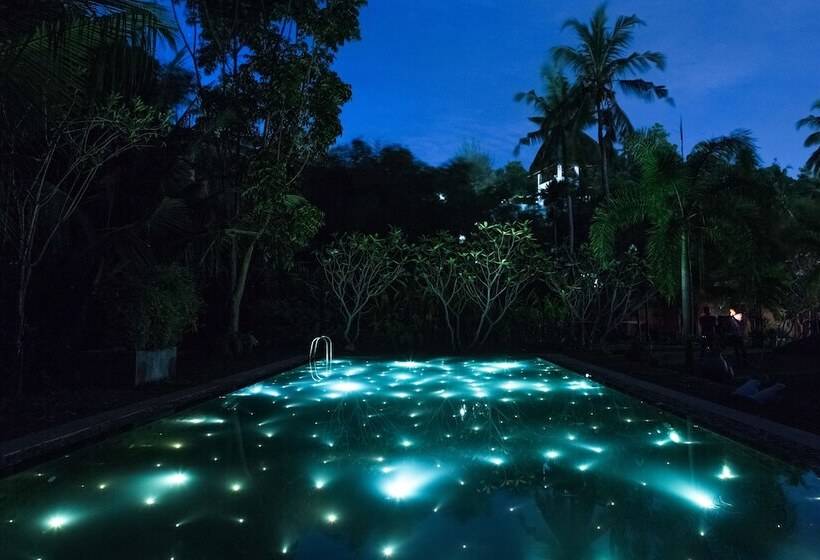 Fotos del hotel Villa White Queen:  11