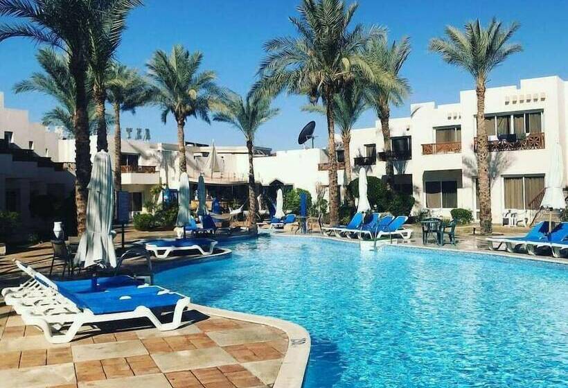 Fotos del hotel Le Mirage New Tiran:  2