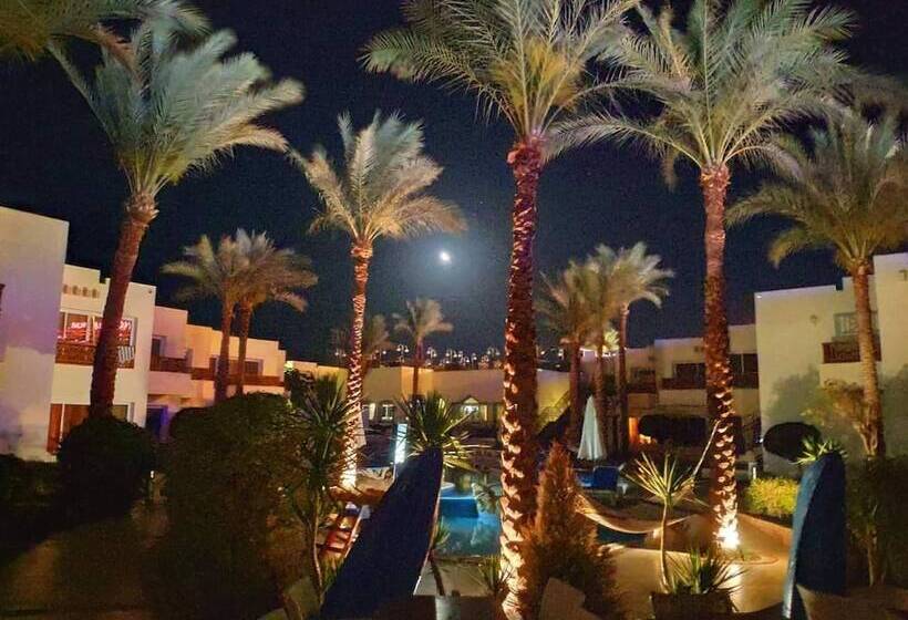 Fotos del hotel Le Mirage New Tiran:  10