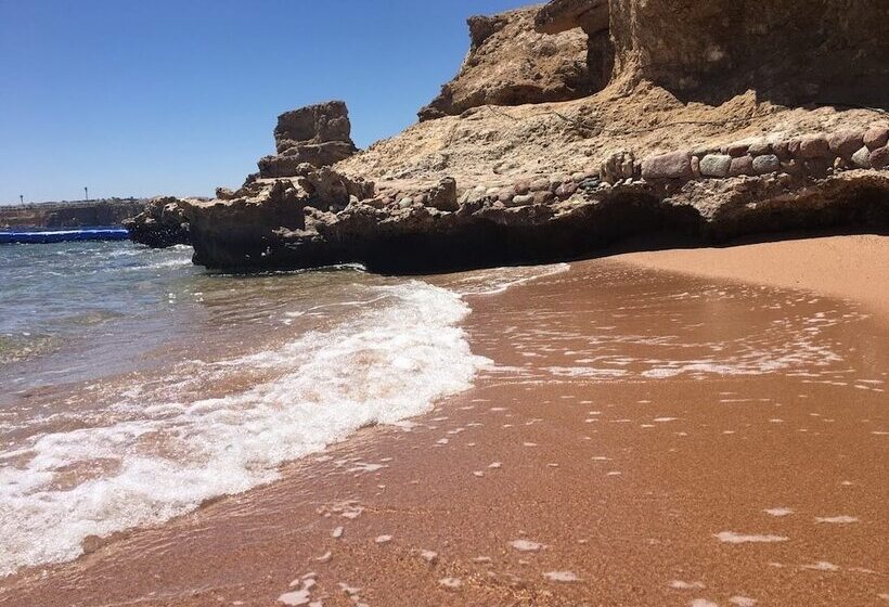 Fotos del hotel Le Mirage New Tiran:  7