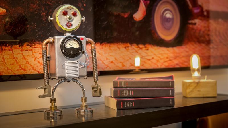 Fotos del hotel Scarlett:  3