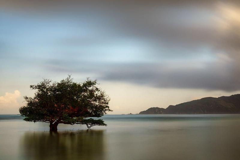 Fotos del hotel Segara Anak:  20