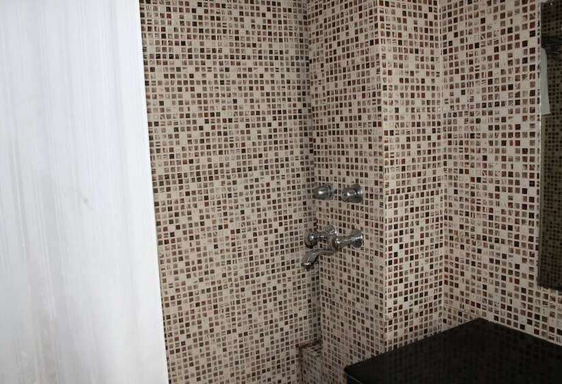 Fotos del hotel Vijay Villa:  10