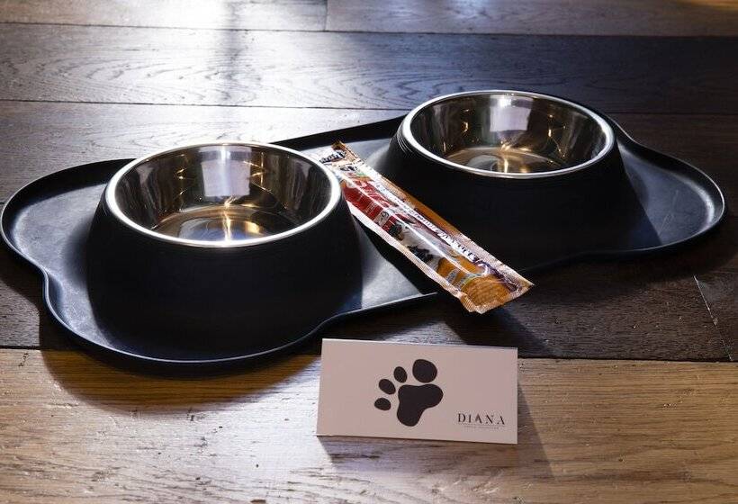 Fotos del hotel Le Colombier Suites:  3