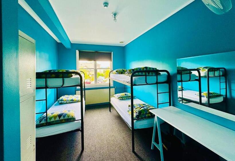 Fotos del hotel Crash Palace Backpackers Rotorua:  14