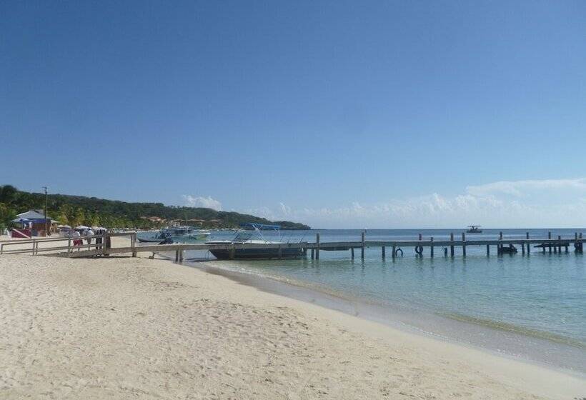 Fotos del hotel Fosters West Bay Resort:  13