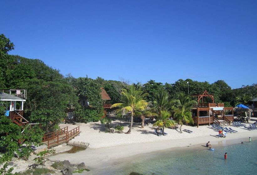 Fotos del hotel Fosters West Bay Resort:  16