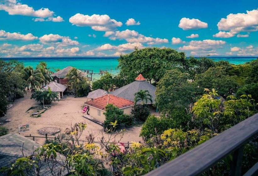 Fotos del hotel Fosters West Bay Resort:  12