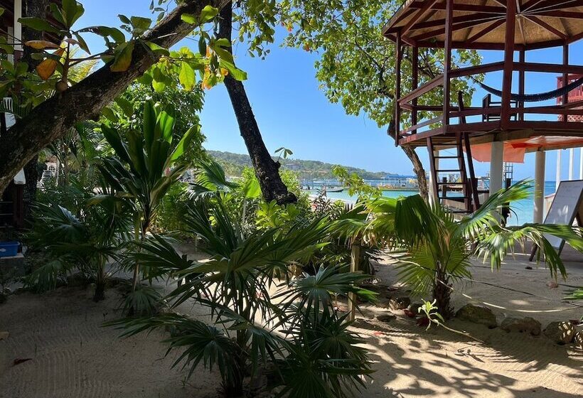 Fotos del hotel Fosters West Bay Resort:  5