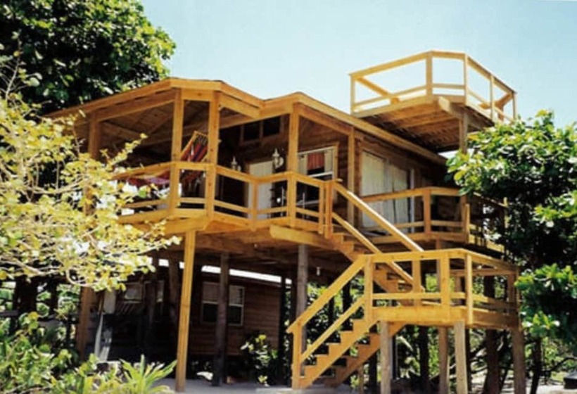 Fotos del hotel Fosters West Bay Resort:  18