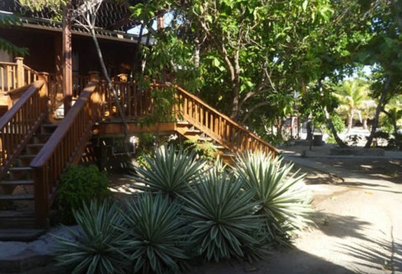 Fotos del hotel Fosters West Bay Resort:  25