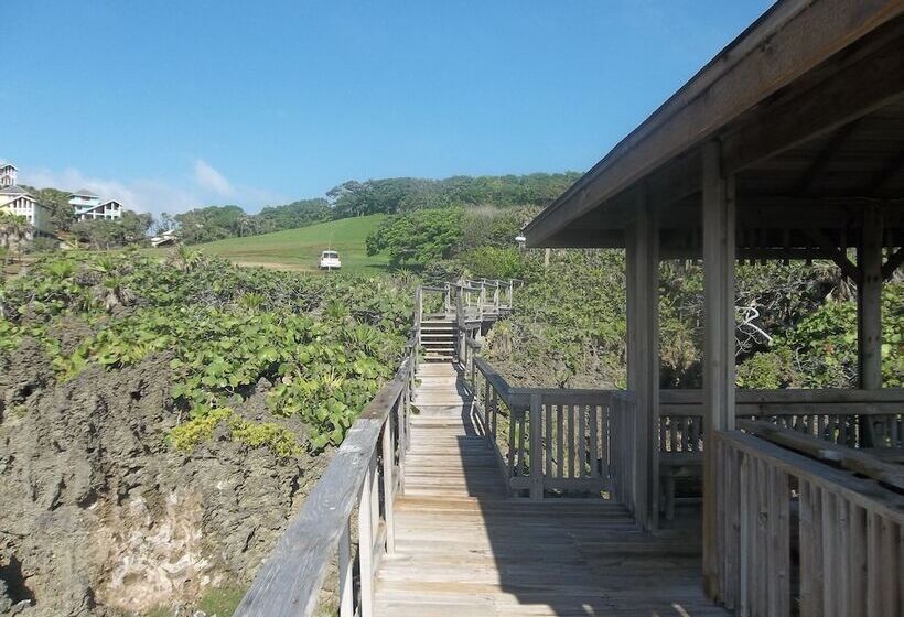 Fotos del hotel Fosters West Bay Resort:  22