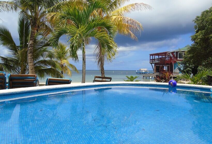 Fotos del hotel Fosters West Bay Resort:  6