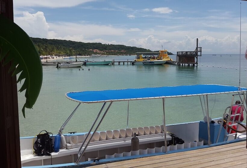 Fotos del hotel Fosters West Bay Resort:  15