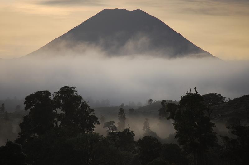 Fotos del hotel Plateau Lodge:  11