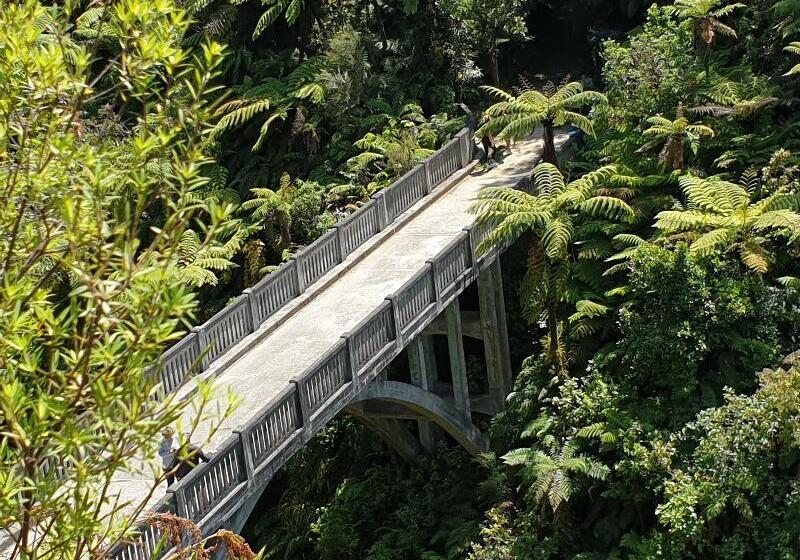 Fotos del hotel Plateau Lodge:  18