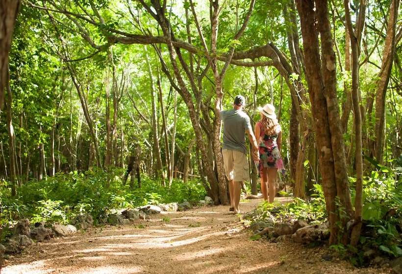 Fotos del hotel Akumal Natura Glamping:  14