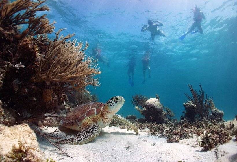 Fotos del hotel Akumal Natura Glamping:  12