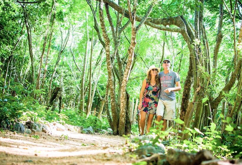 Fotos del hotel Akumal Natura Glamping:  9