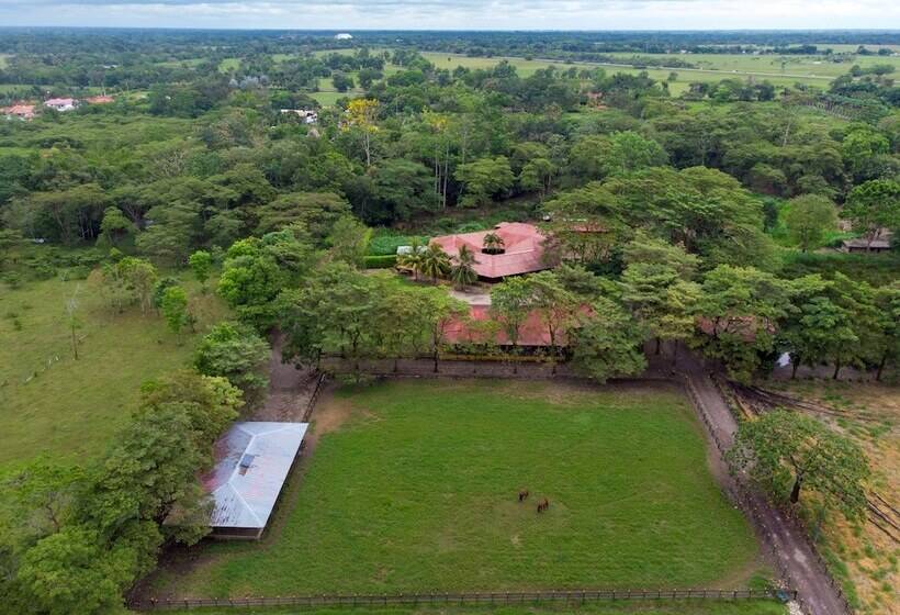 Fotos del hotel Campestre La Potra:  16