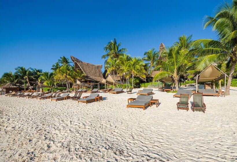 Fotos del hotel Ahau Tulum:  21