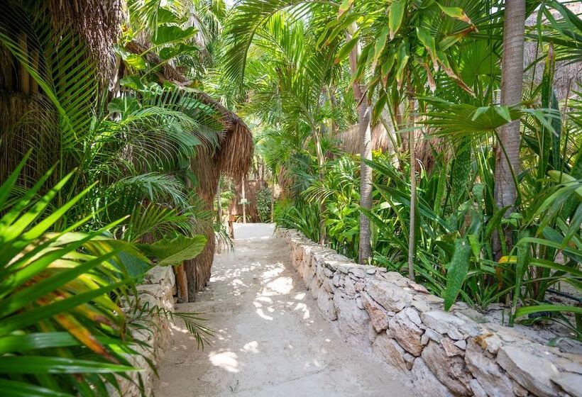 Fotos del hotel Ahau Tulum:  14