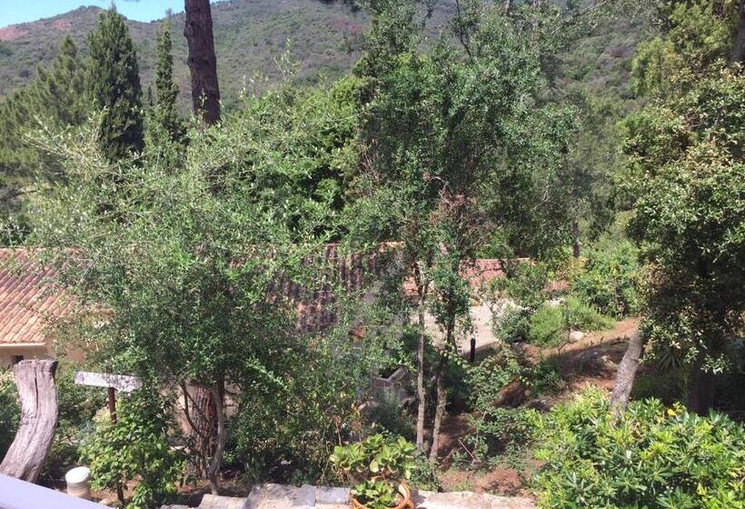 Fotos del hotel Le Domaine De L Oriu:  9