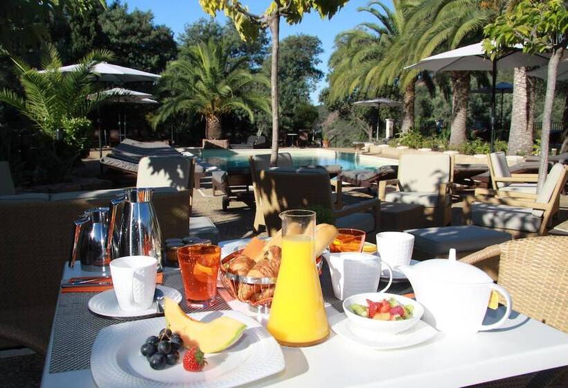 Fotos del hotel Le Domaine De L Oriu:  24