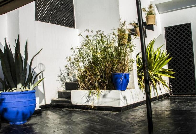 Fotos del hotel Riad Dar Thalge:  11