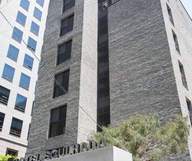 Fotos del hotel Soulhada:  9