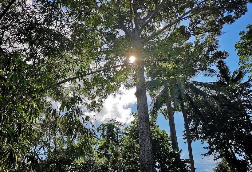 Fotos del hotel Hacia Leisure Resort:  6