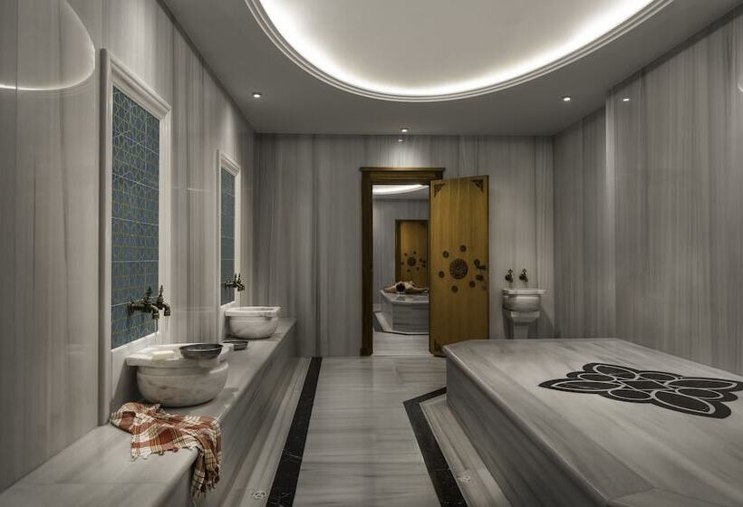 Fotos del hotel Lionel  Istanbul:  15