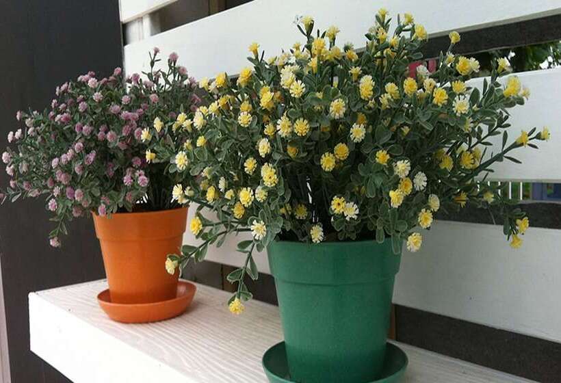 Fotos del hotel Baan Ton Mai Apartment:  3