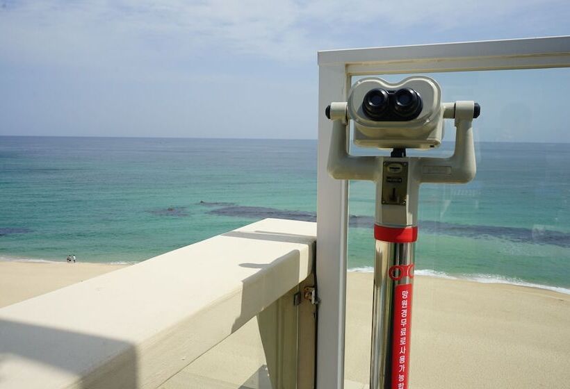 Fotos del hotel Gangneung Herren Haus:  8