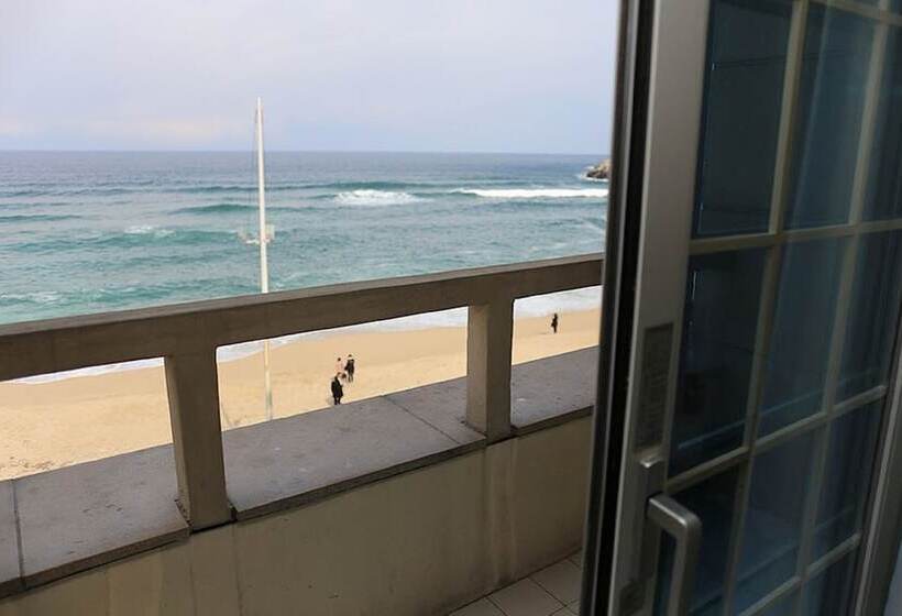 Fotos del hotel Gangneung Herren Haus:  18