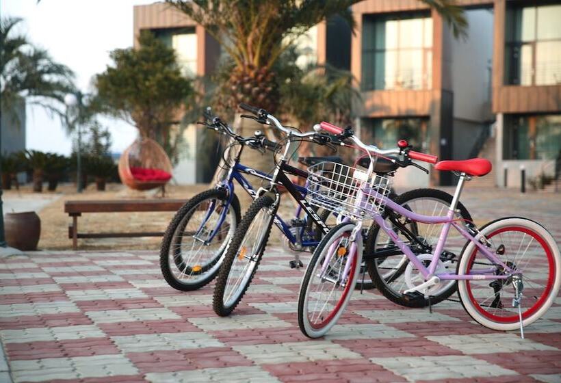 Fotos del hotel J Raum:  12