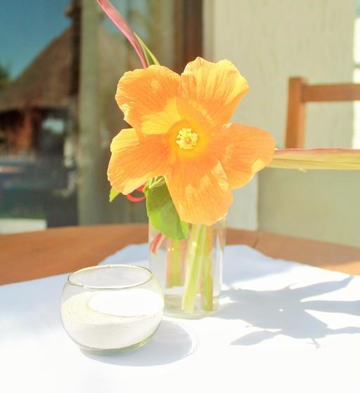 Fotos del hotel Maya Hotel Residence:  3