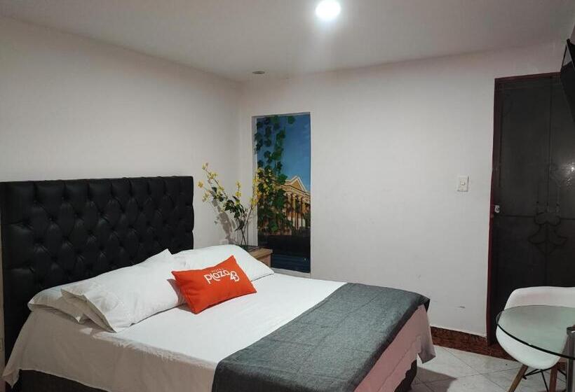 Fotos del hotel Plaza 43:  17