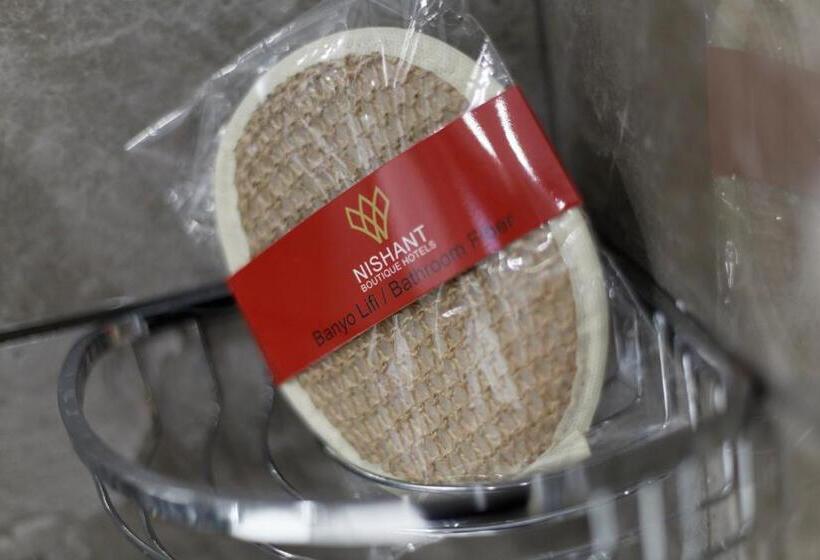 Fotos del hotel Nishant:  5