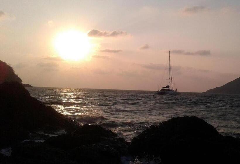 Fotos del hotel Tulip Inn:  20