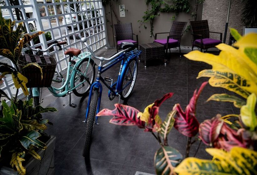 Fotos del hotel Ayenda Andesmar:  22