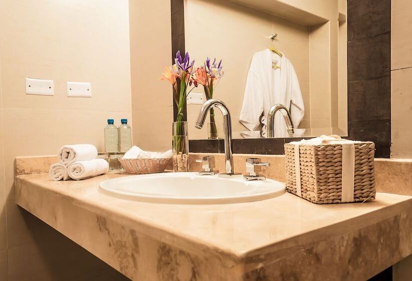 Fotos del hotel Ayenda Andesmar:  19